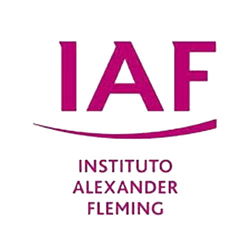 Flemin logo